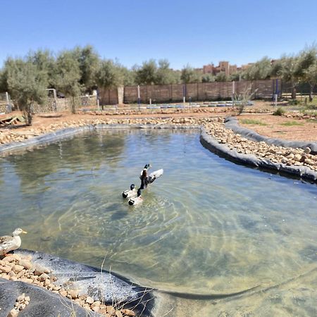 א-ראשידיה Ighiz Inn Resort מראה חיצוני תמונה