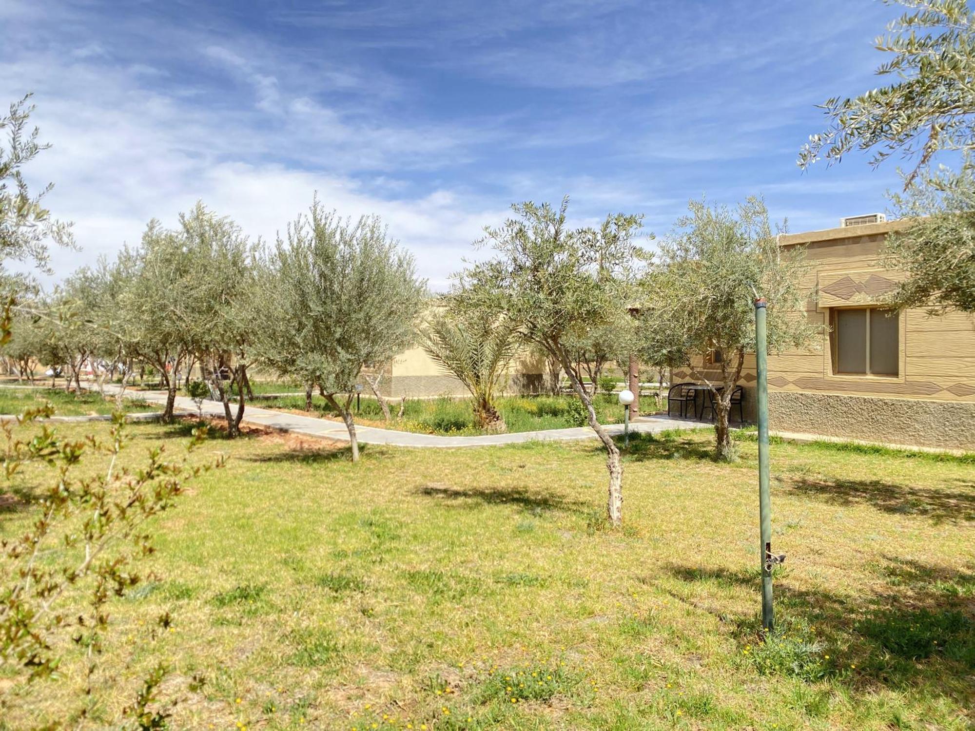 א-ראשידיה Ighiz Inn Resort חדר תמונה